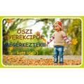 Milyen őszi cipőt válasszunk gyermekünknek?
